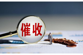 临朐融资清欠服务