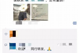 临朐债务清欠服务